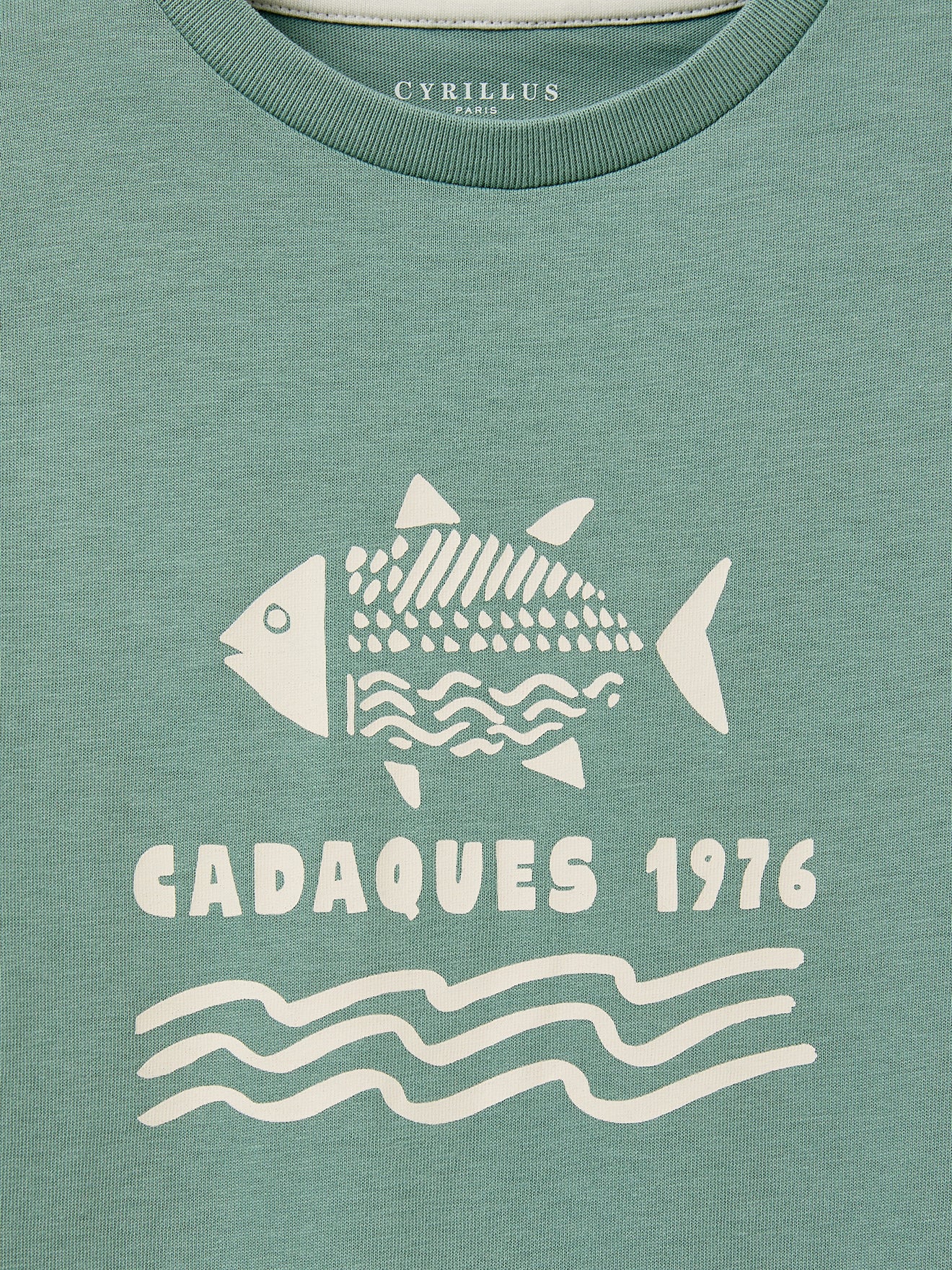 T-shirt imprimé garçon - Coton biologique - Image 6