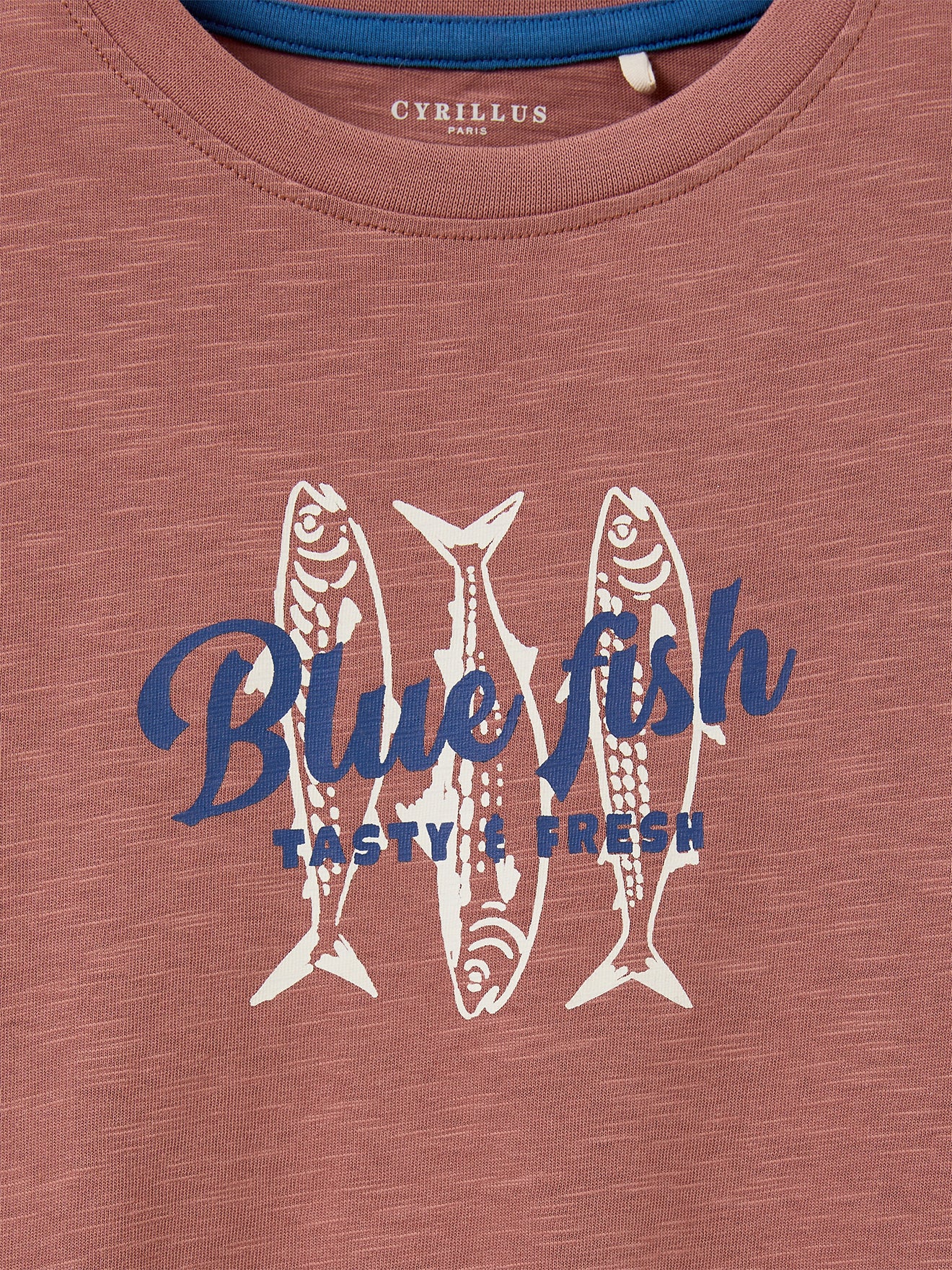 T-shirt imprimé garçon - Coton biologique - Image 6